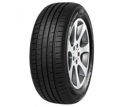 Minerva F209 205/55/R16 91H vara 