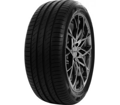  Delinte DS2 205/55/R16 91V vara 