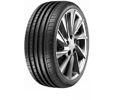  Wanli SA301 205/55/R16 91V vara 