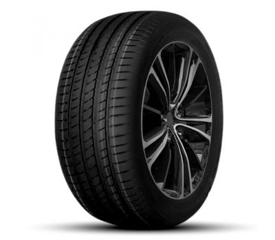  Delmax ULTIMAPRO UP1 205/55/R16 91V vara 