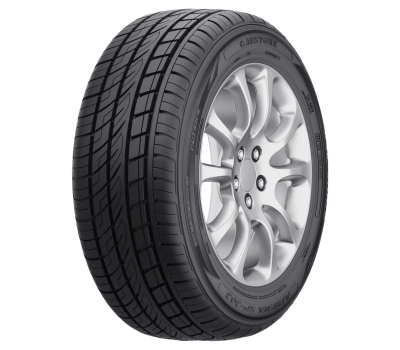 Austone ATHENA SP303 255/40/R21 102Y XL vara 